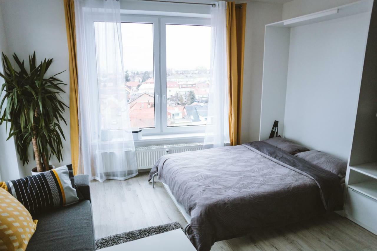 Design Apartment, The City Centre Close To The Health Spa 皮耶什佳尼 外观 照片