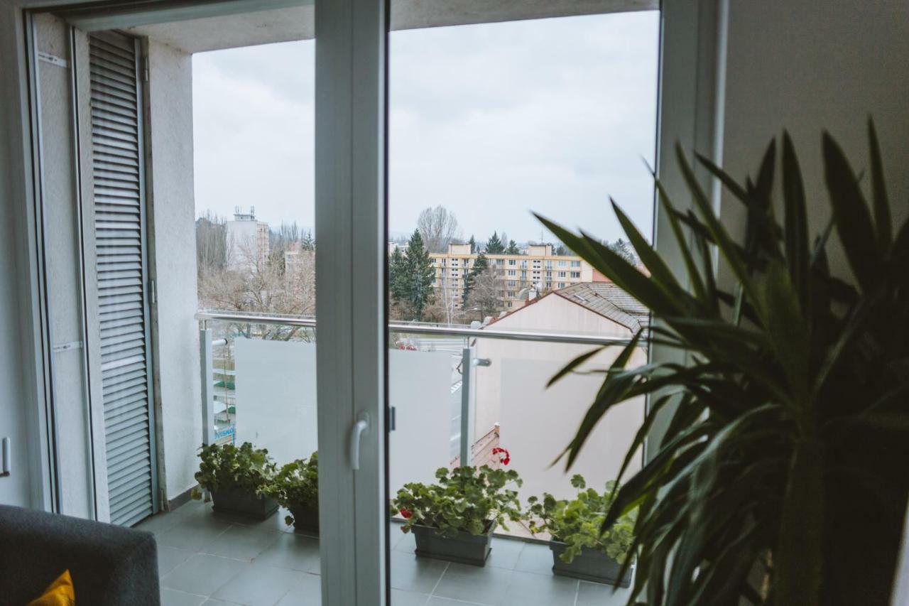 Design Apartment, The City Centre Close To The Health Spa 皮耶什佳尼 外观 照片