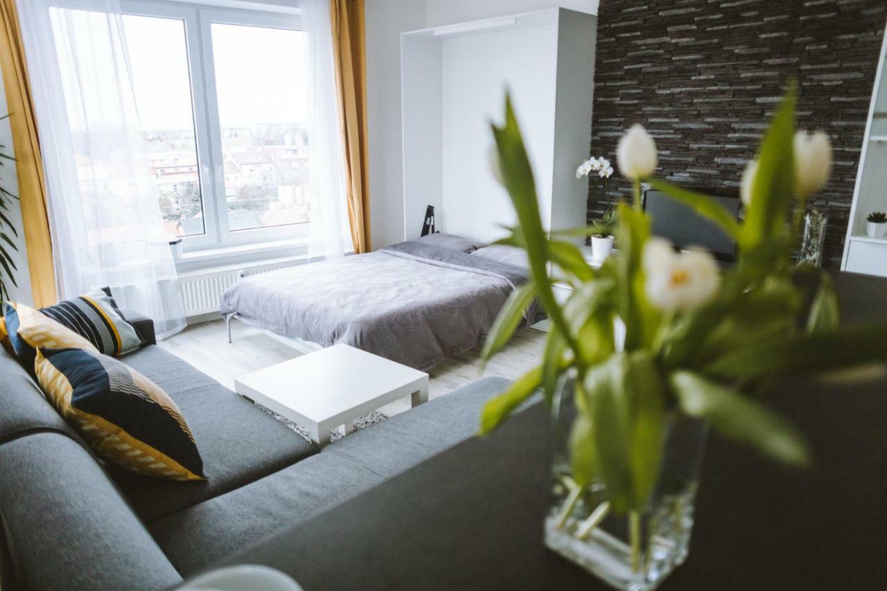 Design Apartment, The City Centre Close To The Health Spa 皮耶什佳尼 外观 照片