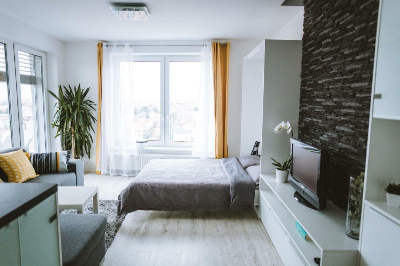 Design Apartment, The City Centre Close To The Health Spa 皮耶什佳尼 外观 照片