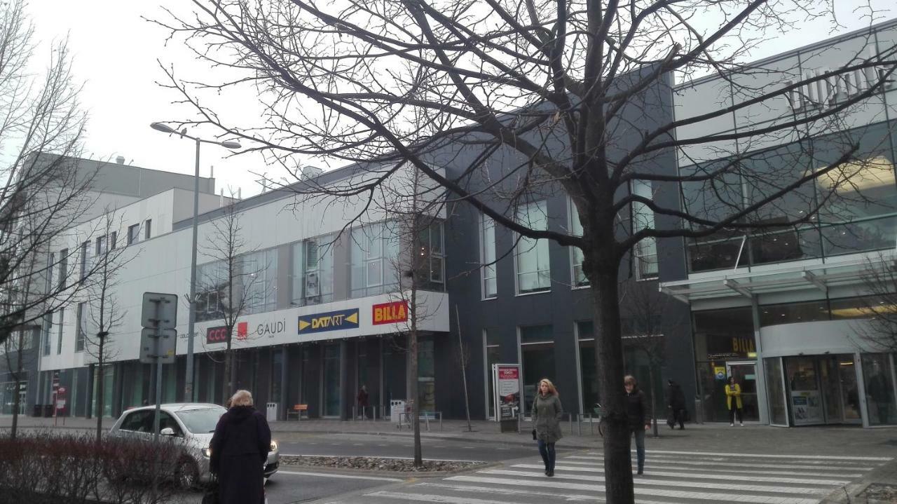 Design Apartment, The City Centre Close To The Health Spa 皮耶什佳尼 外观 照片